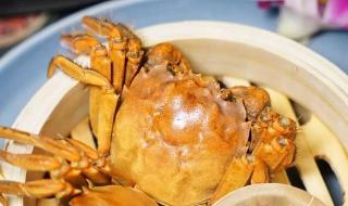 什么季节最适合吃大螃蟹